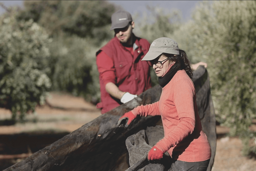 La mujer en el olivar: del pasado invisible al presente como motor del sector