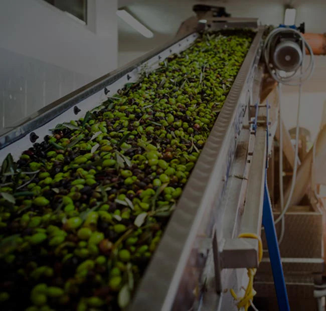 HERRIZA DE LA LOBILLA AOVE LECHÍN & ACEBUCHE PRODUCCIÓN LIMITADA ORGÁNICO Y BIODINÁMICA 500 ML