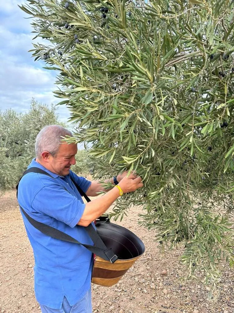 HERRIZA DE LA LOBILLA ACEITE DE OLIVA VIRGEN EXTRA 500ML COUPAGE