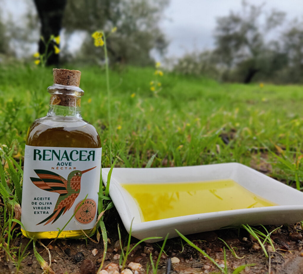 RENACER ACEITE DE OLIVA VIRGEN EXTRA ECOLÓGICO LATA 3L PICUAL